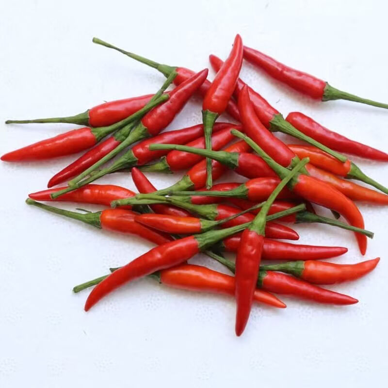 【顺丰包邮】新鲜小米椒朝天椒精选超辣皮薄颜色好送货上门 净重1斤（【尝鲜装，贵在快递费】） 常规纸箱包装