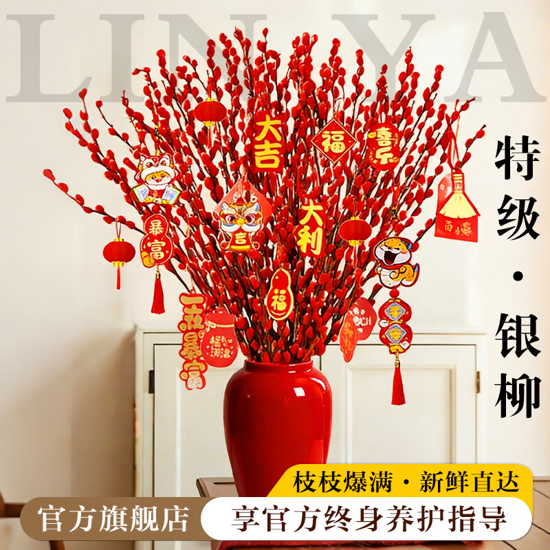 临雅银柳真花鲜枝干花卉北美冬青绿植室内摆件客厅新年红色招财年宵花 【旗舰款】银柳约60cm10枝