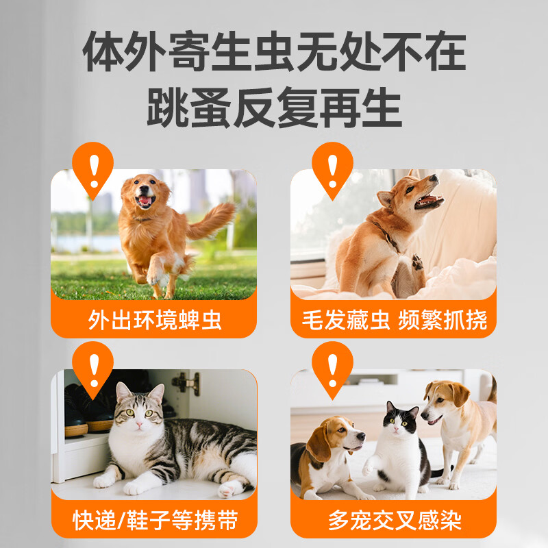 普安特猫咪狗狗驱虫药体外驱虫滴剂幼猫幼犬蜱虫跳蚤虫卵复方非泼罗尼 爱滴恩-复方非泼罗尼滴剂 0.5ml*1支 丨猫用