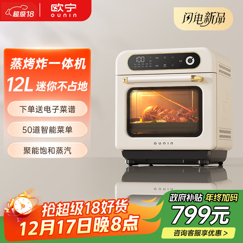 欧宁（OUNIN）小方块蒸烤箱 蒸烤炉家用台式电烤箱12L容量 多功能烤箱智能预约 蒸烤炸一体机