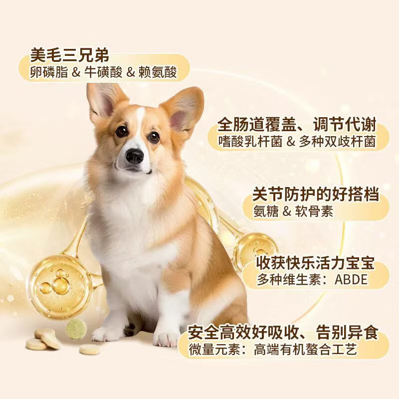 乖宠一生狗狗每日全营养 宠物术后产后换季老年 CHUMBOND宠物营养 2盒 状态焕升