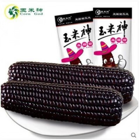 玉米神（Corn God）10根裝東北黑玉米甜糯紫玉米神棒真空包裝新鮮黏粘苞米棒子 黑玉米