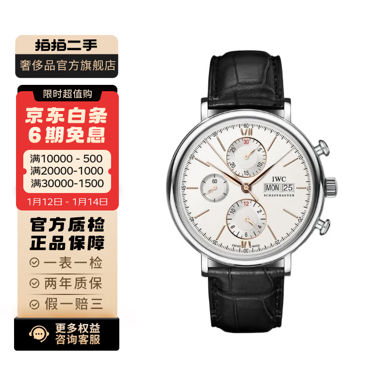 【二手99新】万国(IWC) 柏涛菲诺系列 皮带钢带自动机械男表 二手万国男表 IW391022表径42mm