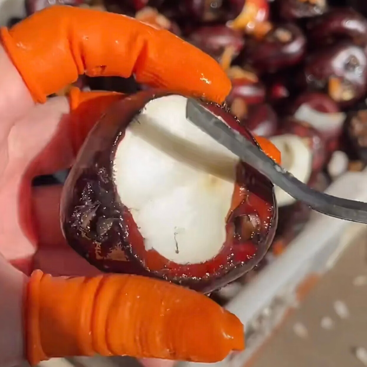 正宗乐昌北乡马蹄新鲜水果现挖即食水果马蹄荸荠特产清甜无渣包邮 5斤 马蹄(中果20-27个/斤)实惠装