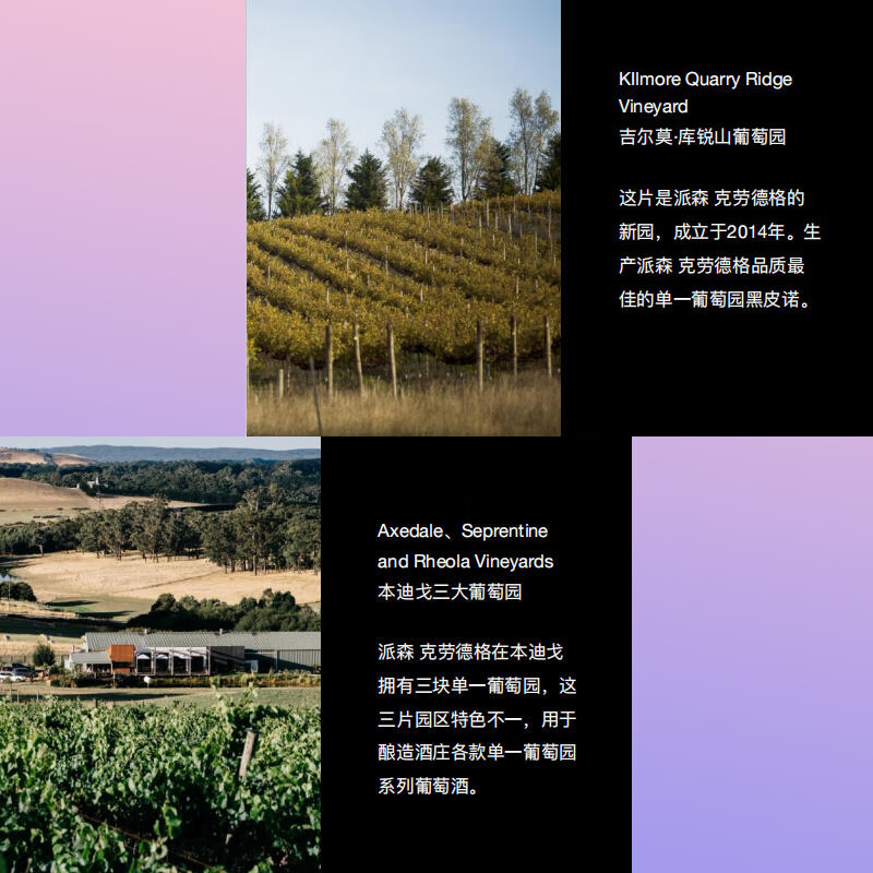 PASSING CLOUDS澳洲浮云酒庄原瓶进口红酒老人头系列 赤霞珠干红葡萄酒红酒干红 老人头1瓶【体验装】