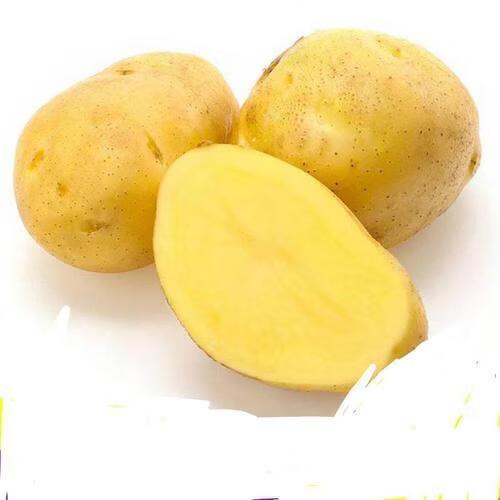 贵州威宁土豆蔬菜马铃薯洋芋黄皮黄心土豆新鲜整箱正宗现挖现发 贵州黄心土豆【10斤装】更划算