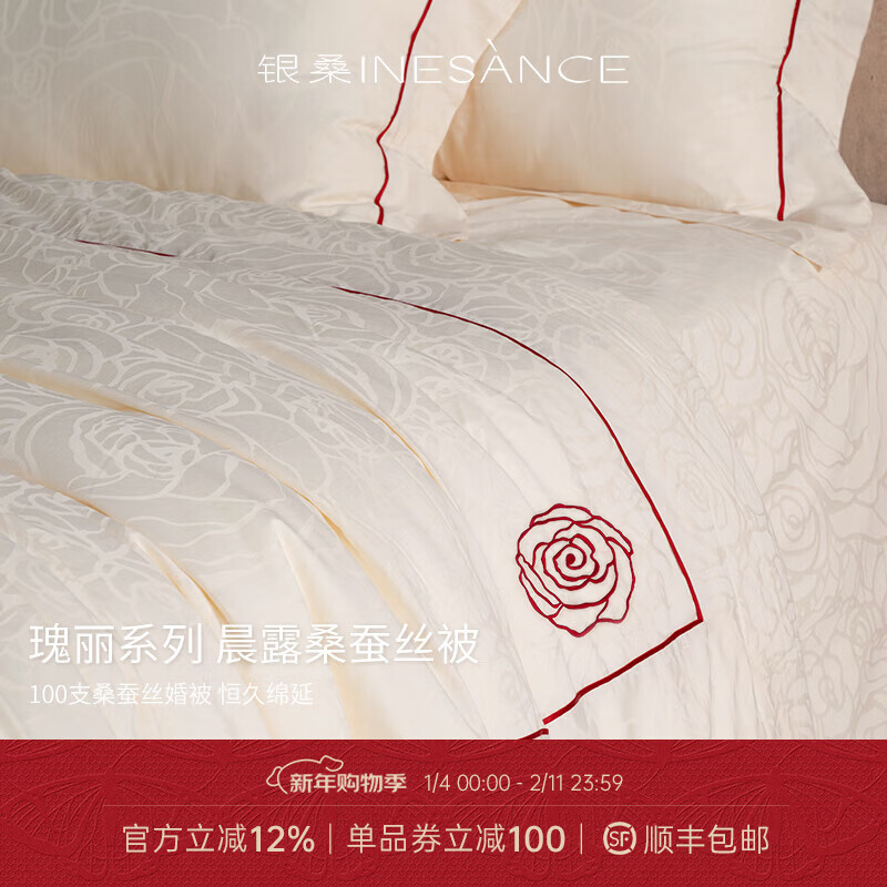 银桑被子蚕丝被夏凉被空调被桐乡纯手工子母被丝棉被喜被芯结婚被 【夏凉被】桑蚕长丝绵 净重500g 200X230cm适用双人1.5m/1.8m床