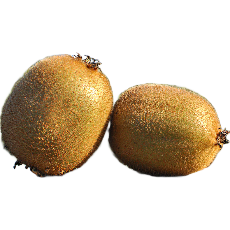 ��������ˮ�������ͬ����������������� 6ö60-80gֱͶ 8.01Ԫ