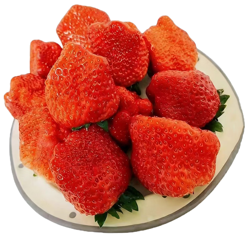 京鲜生 长丰红颜草莓1.8斤装 大果 单果30g+ 生鲜水果 源头直发包邮