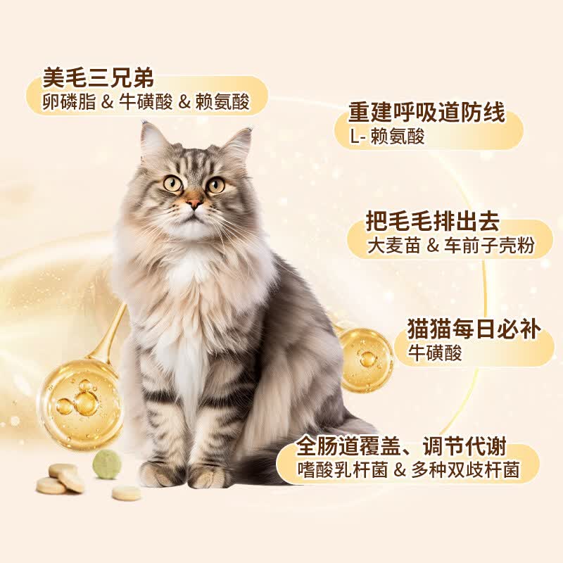 乖宠一生猫猫每日全营养 宠物术后产后换季老年 CHUMBOND宠物营养系列 3盒 活力满格