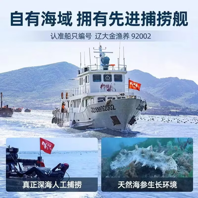 辽参大连海参辽刺参年货海鲜礼盒送长辈礼物海鲜免泡发生鲜大连特产 2000g 28-36头礼盒