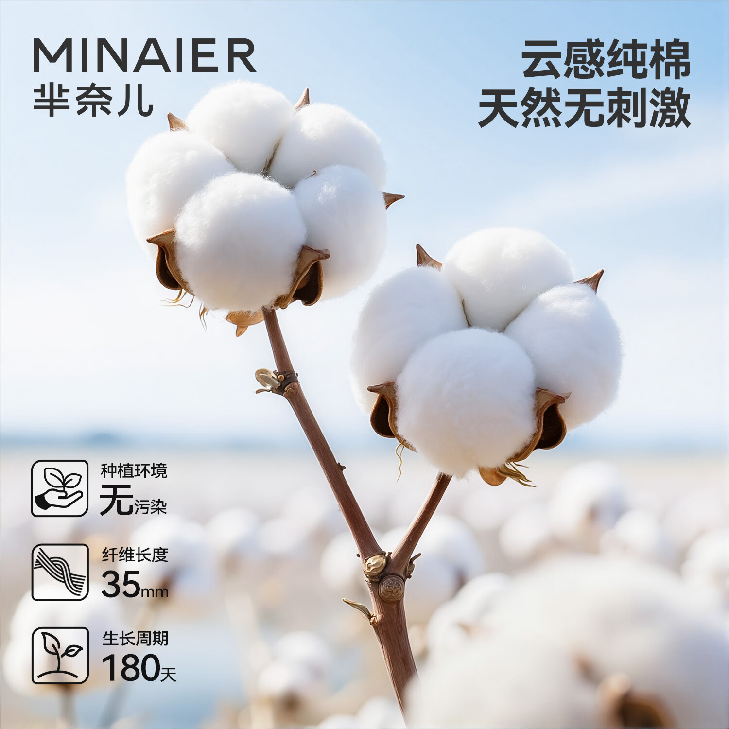 芈奈儿100%纯棉一次性洗脸巾180抽壁挂式绵柔巾母婴适用擦脸洗脸家庭装 【100%纯棉】囤货装 180抽*4提