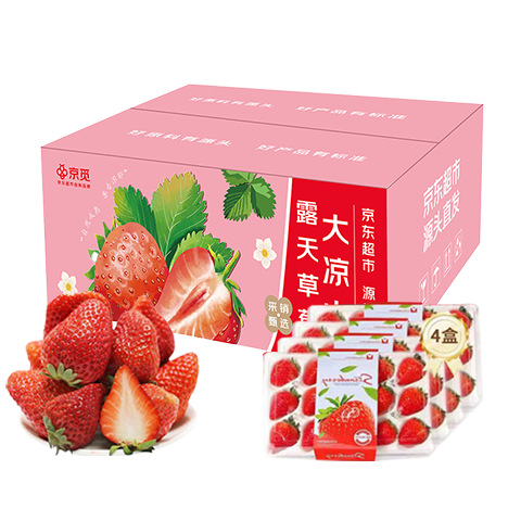 京觅四川大凉山草莓4盒中大果 单果13克+ 净重2.1斤+生鲜水果源头直发