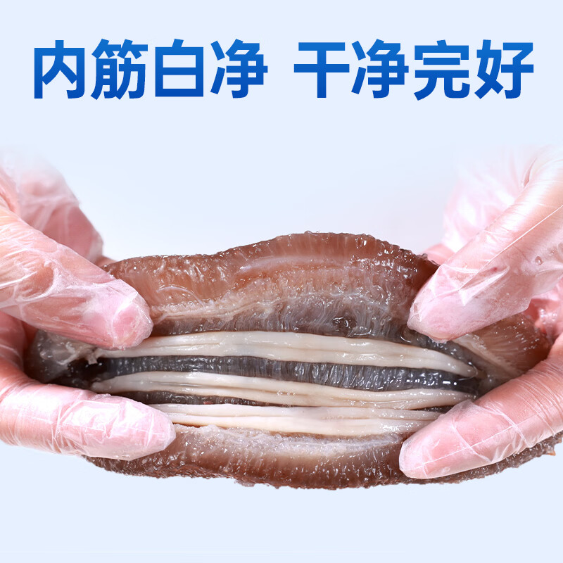 小兵海参鲜食海参正宗即食深海刺参 滋补营养礼盒独立包装 【三斤装】限时钜惠，买2斤送1斤到手3斤 10-12头/斤