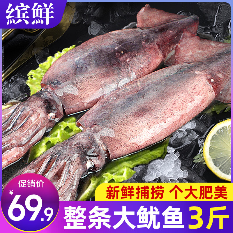 缤鲜 国产整只鲜冻大鱿鱼净重2.9-3斤3-5条铁板火锅烧烤食材-源头直发