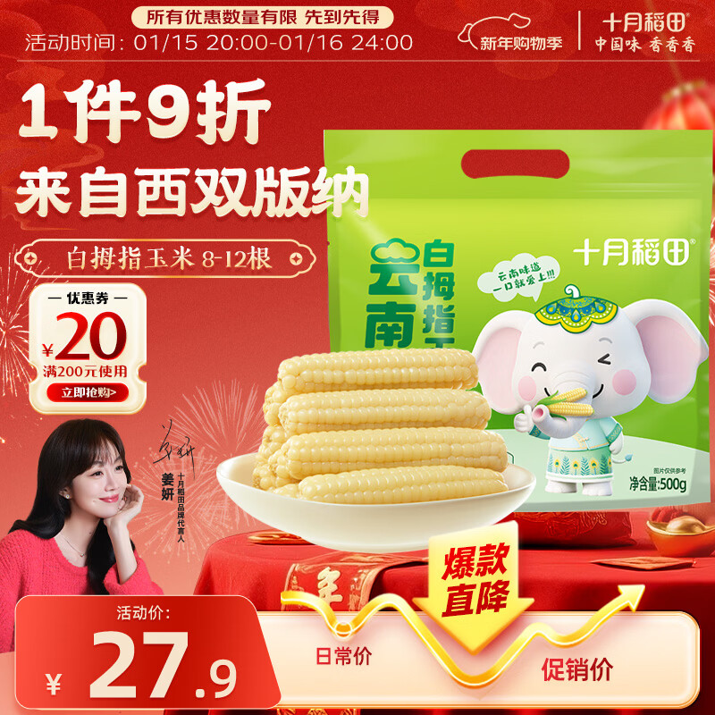 十月稻田 云南白拇指玉米 1斤(8~12根) 25年新玉米 儿童低脂早餐 西双版纳