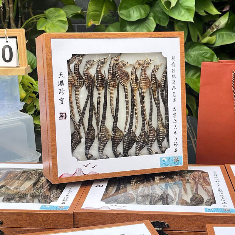 春节礼盒 海马干 礼盒 正品溯源男性补营养煲汤材料泡药酒药材 约(2-3克/条) 50g*1盒