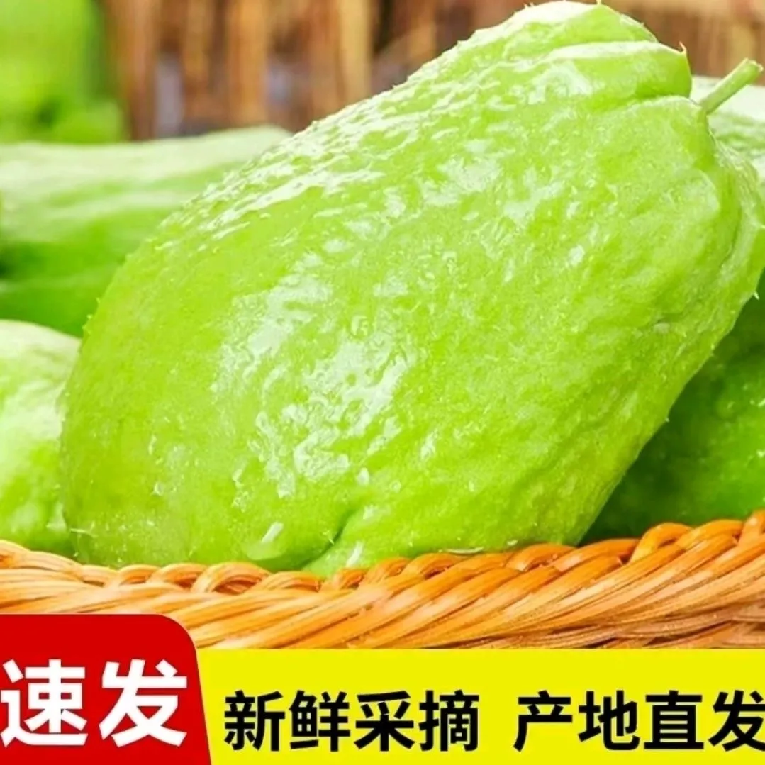 云南佛手瓜新鲜蔬菜便宜特产正宗薄皮 净重9斤