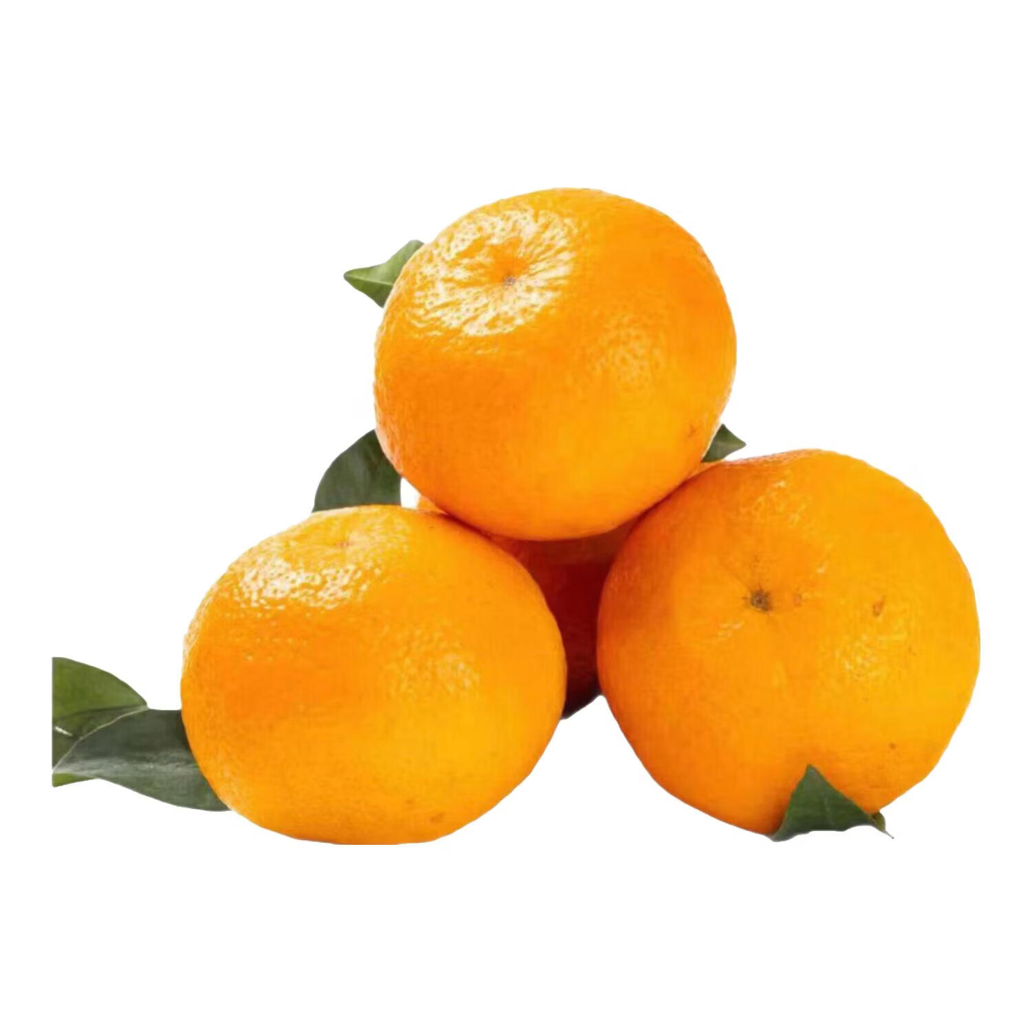 云南沃柑现摘现发当季新鲜水果头茬高原柑橘手剥桔子橙子鲜嫩多汁 5斤大果75mm
