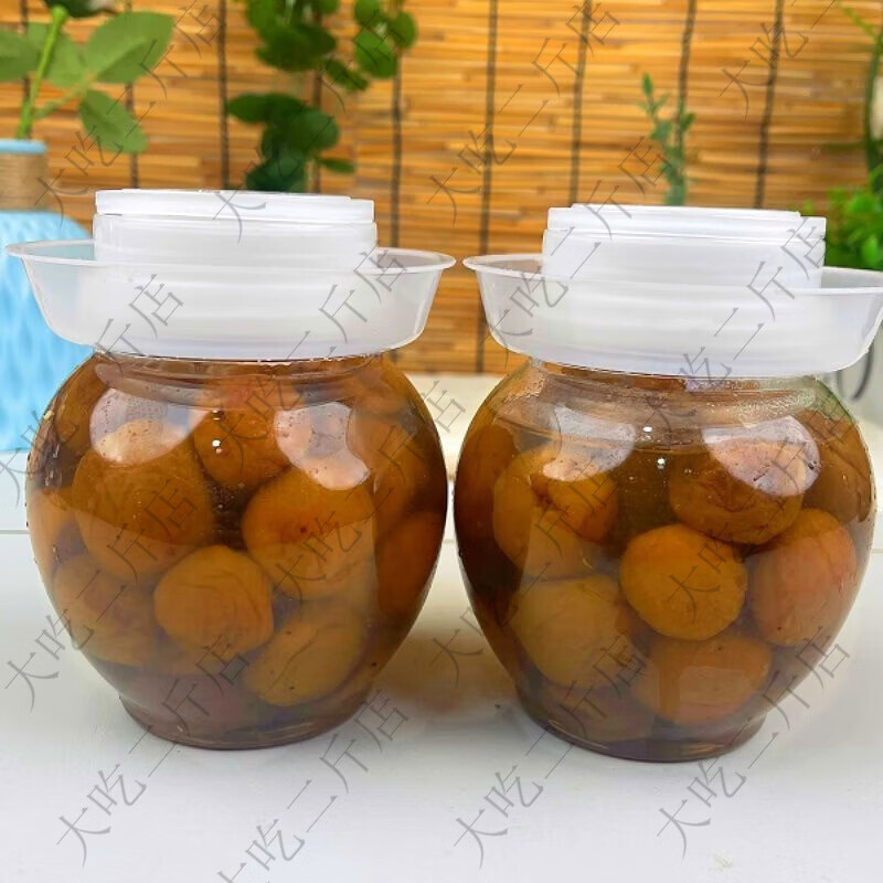 你我他酸梅子广西酸咸水梅盐水梅青梅开胃农家盐渍梅子无添加纯手工新鲜 1瓶酸梅子