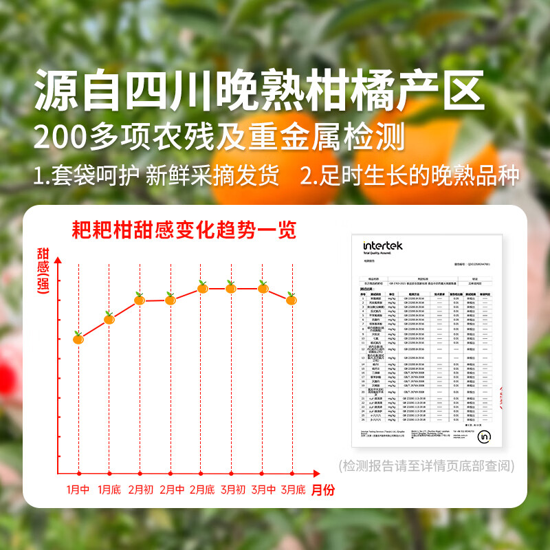 东方甄选春见耙耙柑 5斤/8斤装 自然酸甜 坏果包赔 5斤大果(200g+ 到手约8-13个)