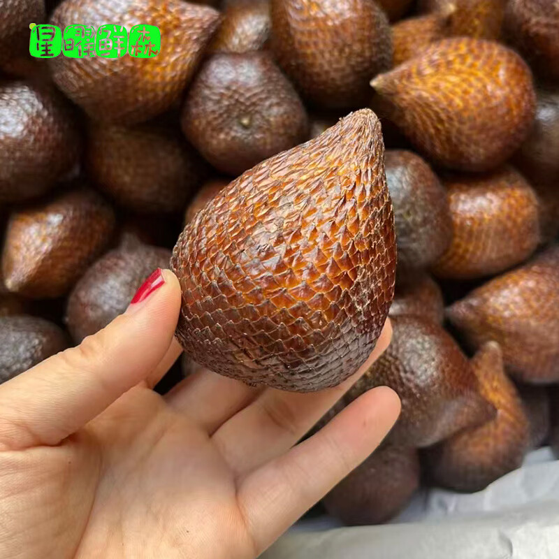 星曜鲜森印尼蛇皮果罕见稀有进口热带时令新鲜水果轻奢高档沙叻顺丰发货 1500g（20-25个）【5A进口大果】顺丰包邮 40-80g单果