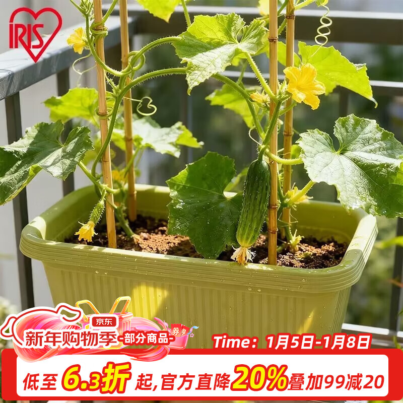 ����˼��IRIS���ֲ����߲���ֲ�����ϲ����ش����̨�ֲ��������⻨���ֻ����� ��2������(50cm��)��ɫ �͸���