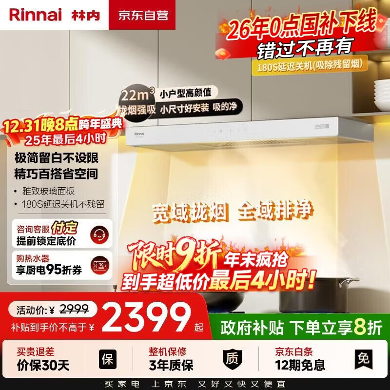 林内（Rinnai）【留白】油烟机【家电国家补贴20%】欧式顶吸排白色抽油烟机22m³大吸力小户型一级能效 NR12EA(W)