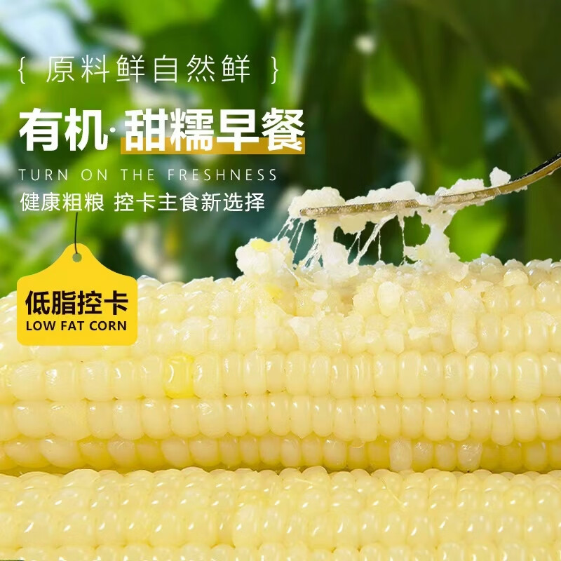 新疆白糯玉米 早餐代餐 单穗大克重 真空锁鲜软糯香甜 【精选玉米】10根/箱