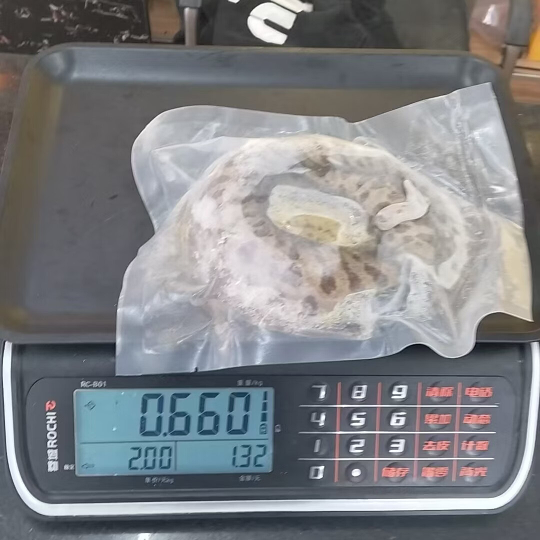 【顺丰冷链包邮】正宗海南直发野生大海鳗鱼新鲜活冻深海冷冻鱼类 每条 2.5 斤-3.03斤 /发 3 条【顺丰包邮】海南千年渔