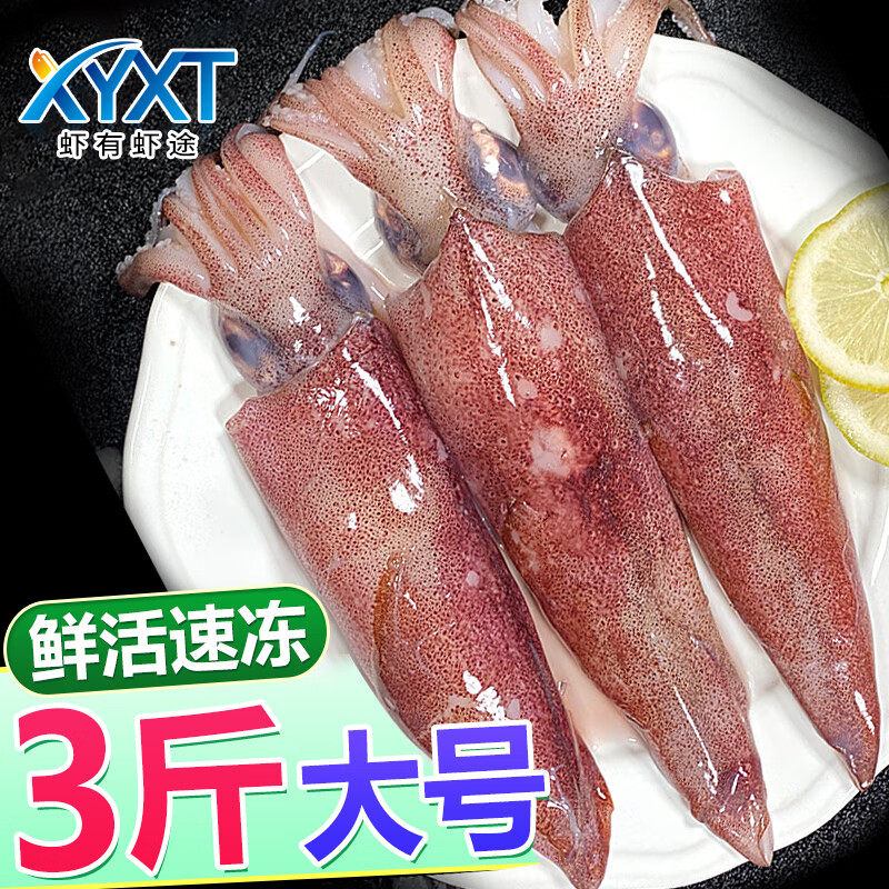 虾有虾途海捕笔管鱼大号新鲜活冻海兔鱿鱼乌贼墨鱼仔小鱿鱼海鲜火锅食材 【大号】活冻公体海兔 1500g(净重) 