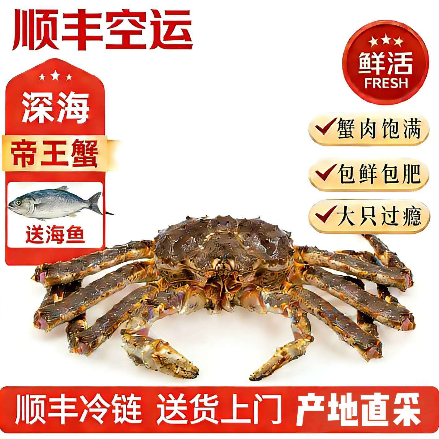 【活鲜】鲜活帝王蟹帝皇蟹俄罗斯大螃蟹阿拉斯加海鲜水产年货送礼 3- 4斤 /只(鲜活发货)