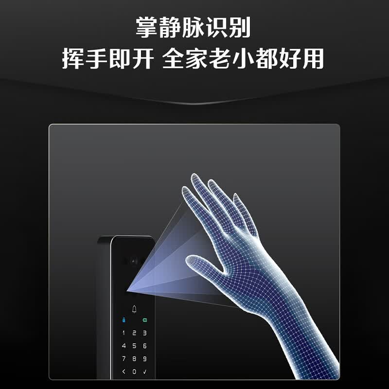 德施曼（DESMAN）智能门锁3D人脸识别掌静脉可视猫眼大屏指纹密码电子锁 小嘀 Q2FV 小嘀2掌静脉识别款