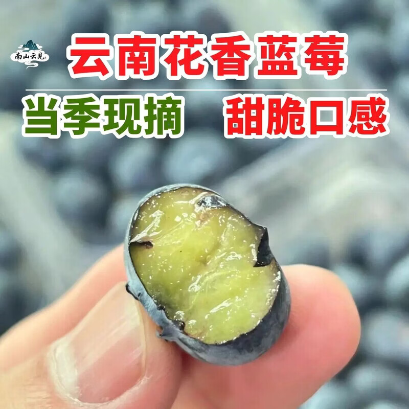 当季云南花香蓝莓鲜果小懒杯l25脆纯甜特大果新鲜水果孕妇礼盒装 800g 【礼盒装】8杯/每杯100克 22mm+特大果【口感脆甜 顺丰空运】