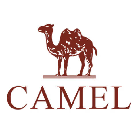 骆驼动感（camel active）男鞋冬季新款加绒加厚保暖雪地靴防滑东北棉鞋休闲工装靴男款 敬请期待2 38