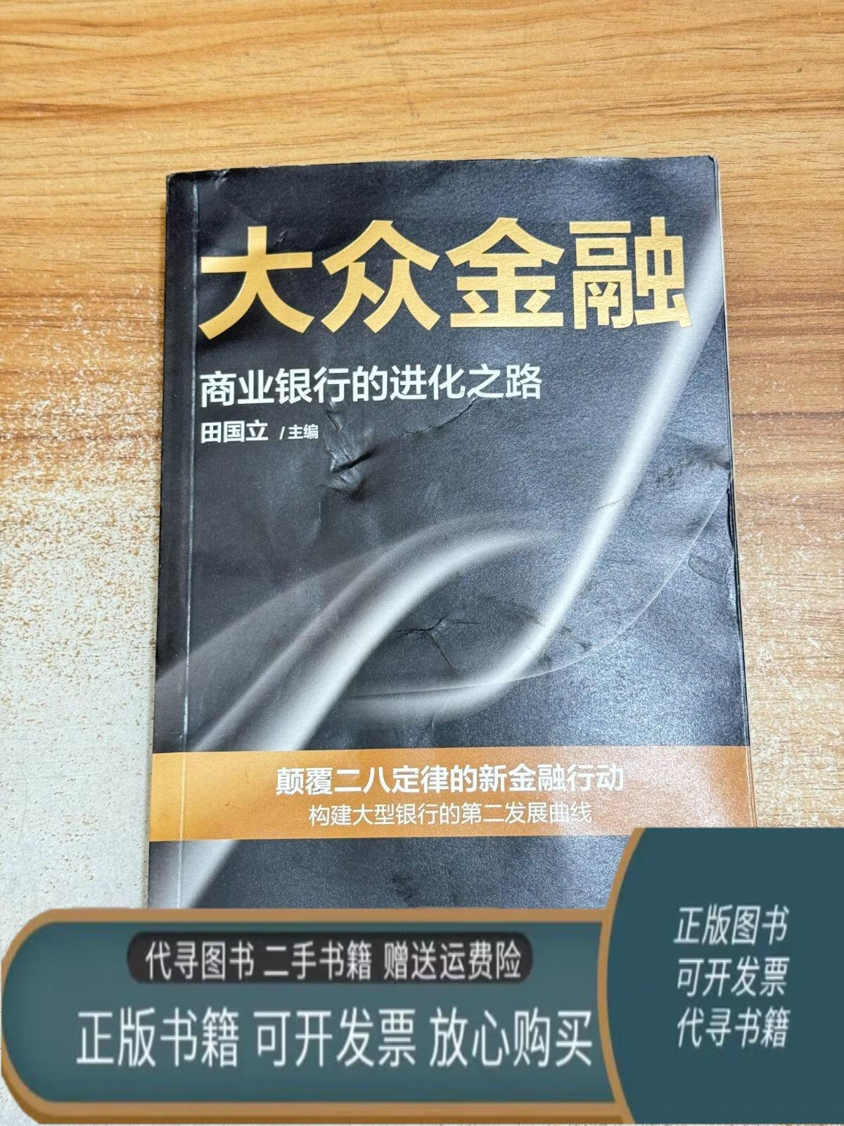 大众金融:颠覆二八定律的新金融行动,构建大型银行发展