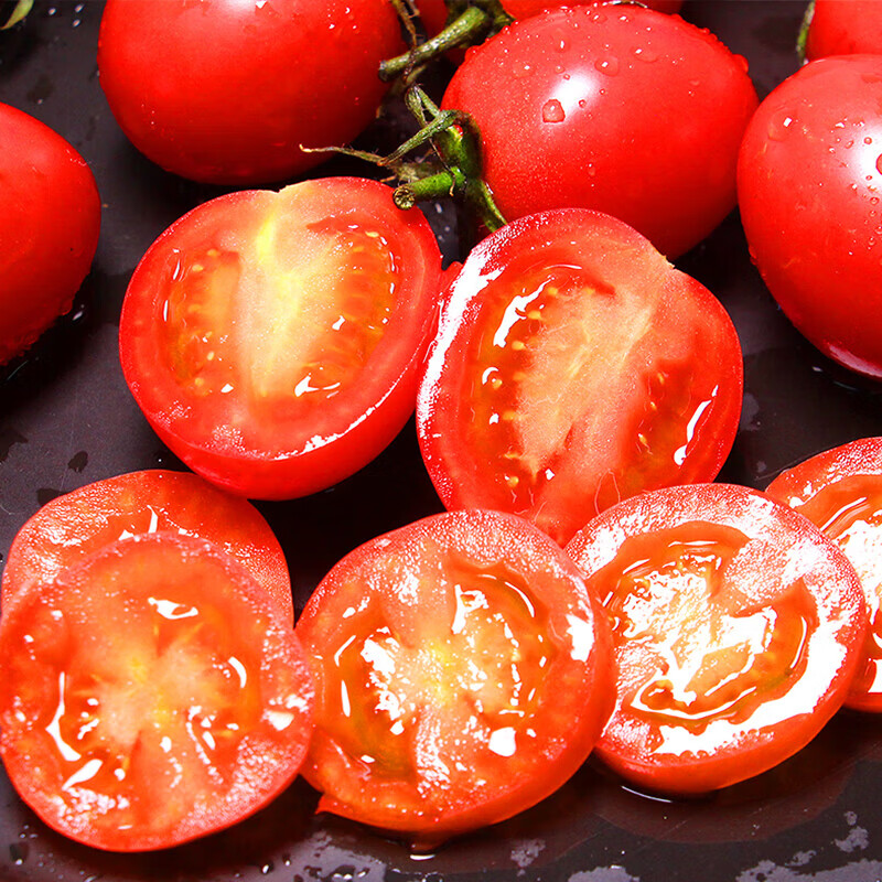 牛爱田圣女果小番茄新鲜采摘源产地发货 圣女果4.5斤装单果8g+