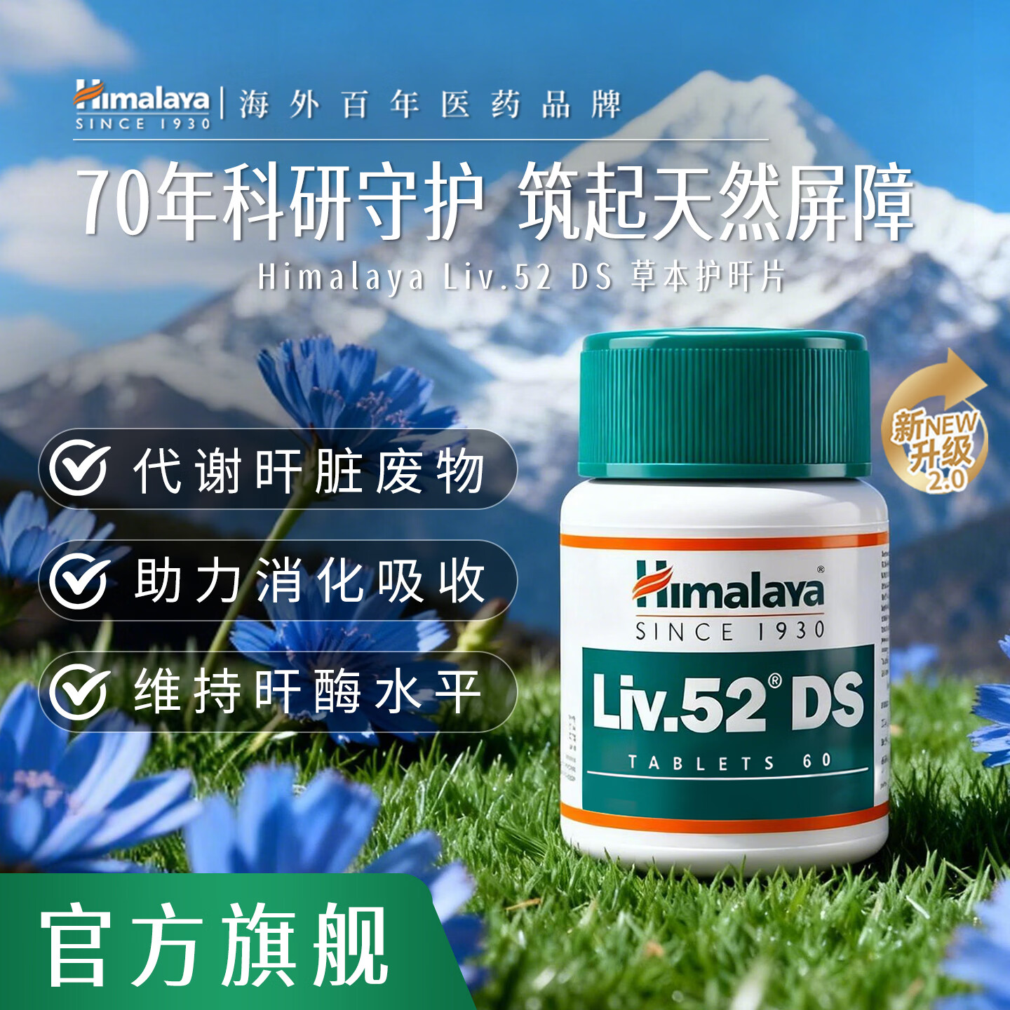 Himalaya喜马拉雅护肝片Liv.52DS转氨酶高脂肪肝损伤养肝非奶蓟草水飞蓟 【全天然草本】护肝片加强版60片*2瓶