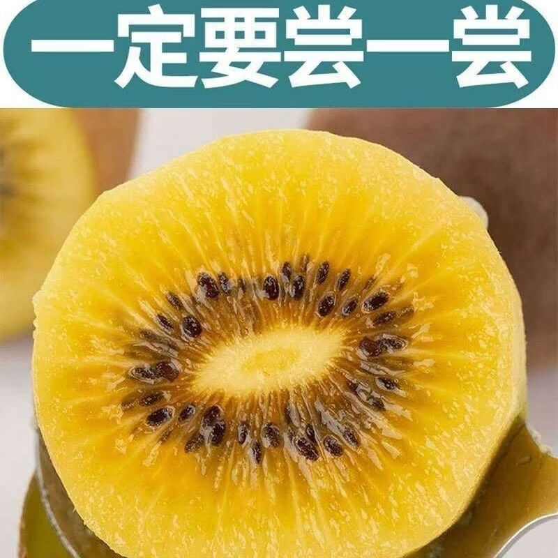 新货奇异果黄心猕猴桃正宗奇异果整箱水果新鲜当季孕妇非红心批发 30枚黄心奇异果单果60-90g约4-4点6斤
