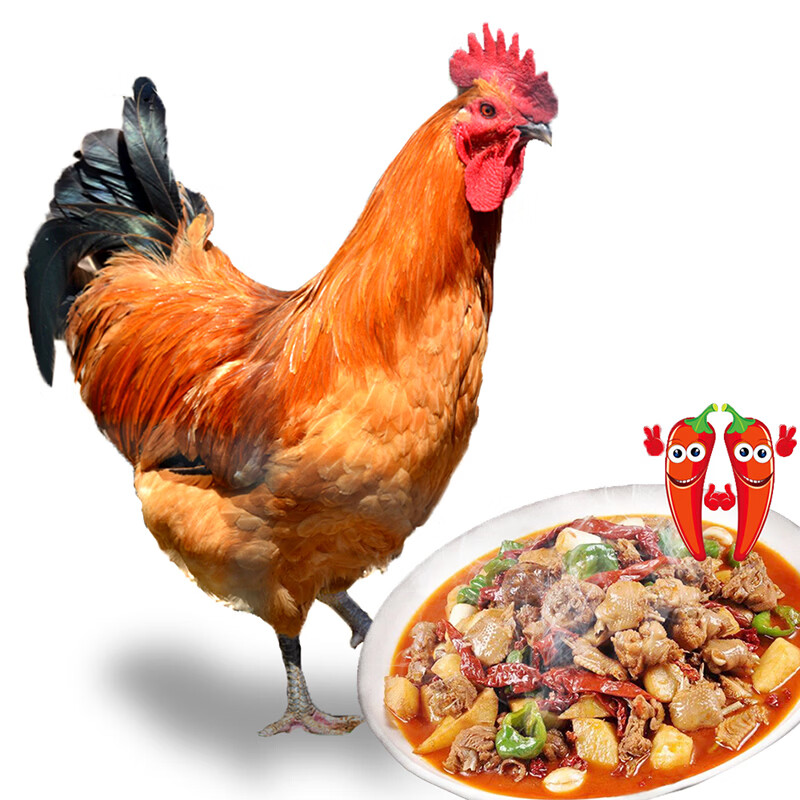 虞大爷散养土公鸡土鸡整鸡净重鸡肉公鸡鸡公生鲜 散养小公鸡2斤*2只 京东折扣/优惠券