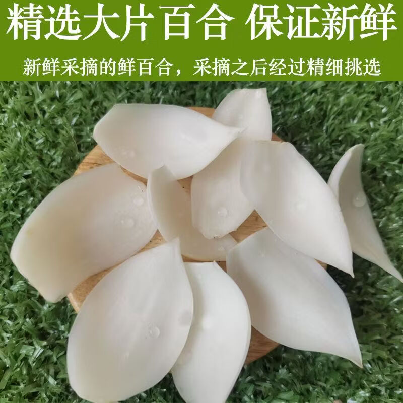 米家山兰州鲜百合片 免清洗新鲜碗装 无硫无添加真空包装可生吃煮粥煲汤 兰州鲜百合片(免洗净片） 125g*12碗【礼盒装】