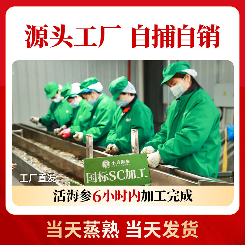 小兵海参【买2盒送1盒】鲜食海参即食海参刺参免泡发独立包装送父母长辈 【买二送一】3盒到手1.5斤