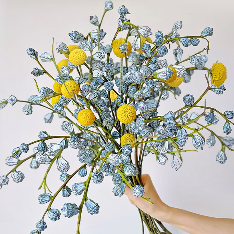 临雅钻石尤加利果水养绿植鲜切鲜花水培植物3扎+10枝黄金球源头直发