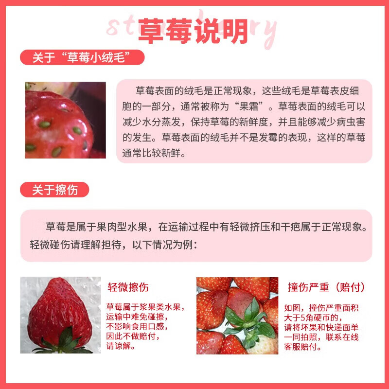 东鲜丰四川大凉山草莓新鲜草莓水果高山露天种植红颜草莓现摘现发 【250克/20-24枚】*2盒装