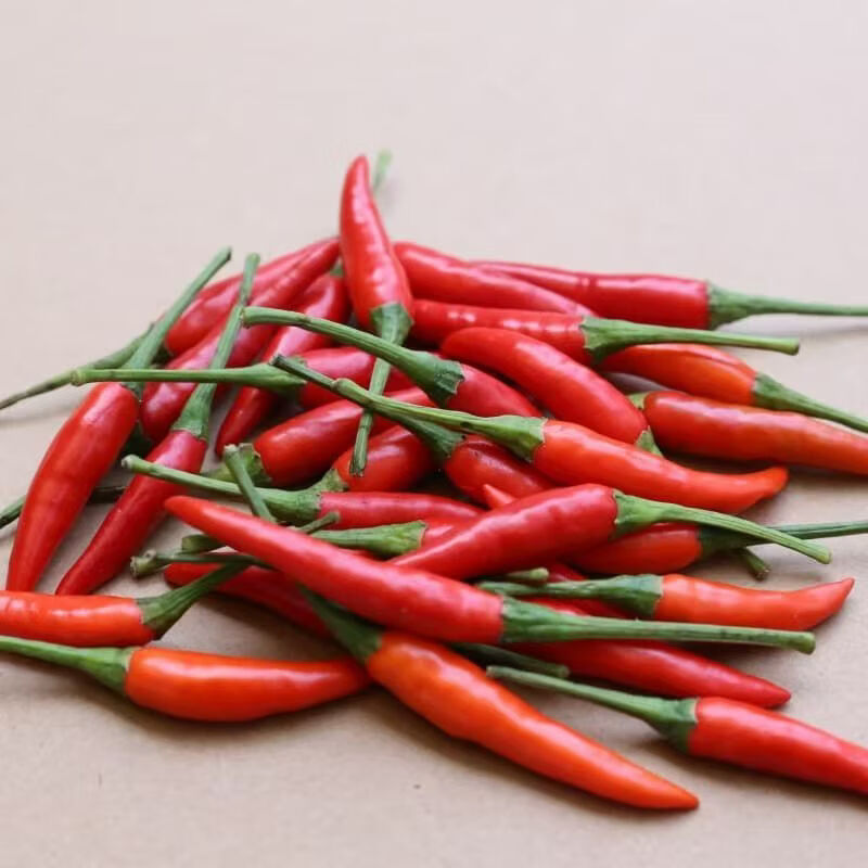 【顺丰包邮】新鲜小米椒朝天椒精选超辣皮薄颜色好送货上门 净重1斤（【尝鲜装，贵在快递费】） 常规纸箱包装