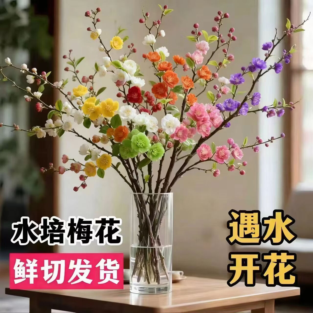 小红书同款遇水开花水培梅花AA 50-70厘米橙色 三周期开花10支（接受图与实物有色差拍）