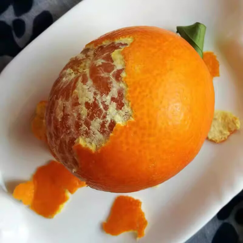 绿熊庄园正宗红美人柑橘爱媛28号果冻橙爆甜柑橘新鲜孕妇薄皮水果当季礼盒 精选果 单果150g+ 净重5斤