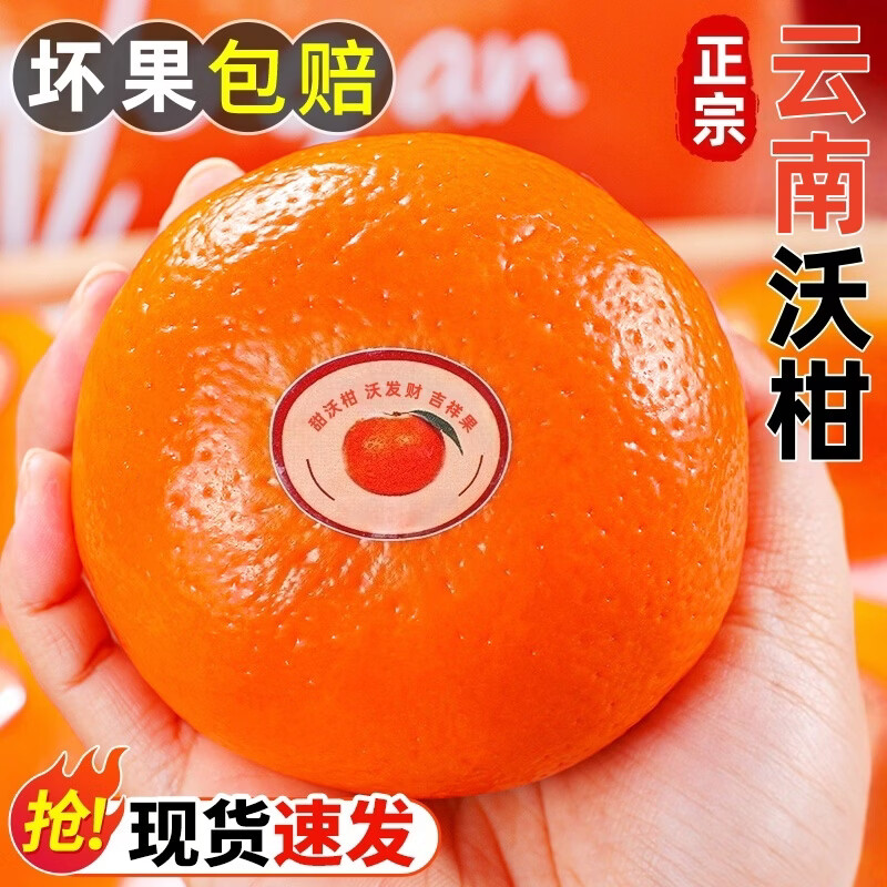 ����ͷ���ָ����������и���ͯˮ�� 5����ѡװ ����70mm�����Ͼ���4.5�� 11.9Ԫ����ɱ�������룩