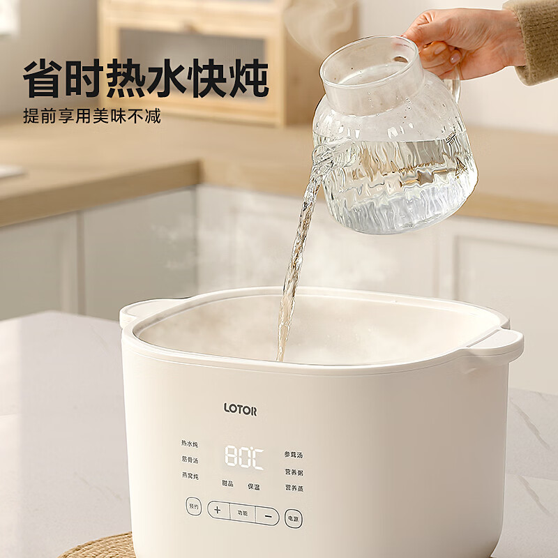 LOTOR电炖锅 电炖盅 隔水炖锅家用炖汤盅煲汤锅大容量电蒸锅燕窝婴儿辅食锅陶瓷电煮锅煮粥锅 彩屏五胆蒸笼款 6L 4L+0.5L*4