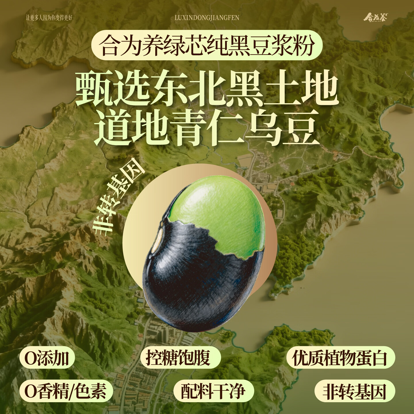 合为养绿芯纯黑豆浆粉道地青仁乌豆养生早餐冲泡即食独立小包装 黑豆浆粉 260g*1盒